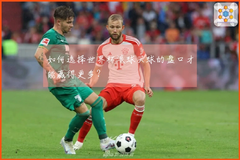 如何选择世界杯滚球买球的盘口才能赢得更多？