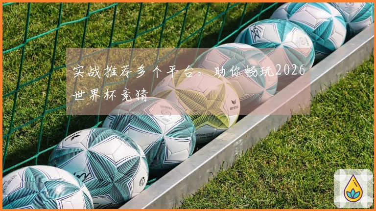 实战推荐多个平台，助你畅玩2026世界杯竞猜