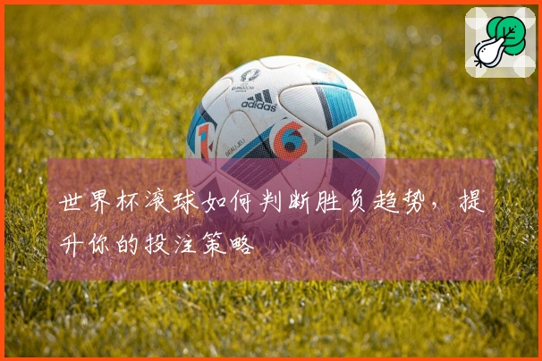 世界杯滚球如何判断胜负趋势，提升你的投注策略