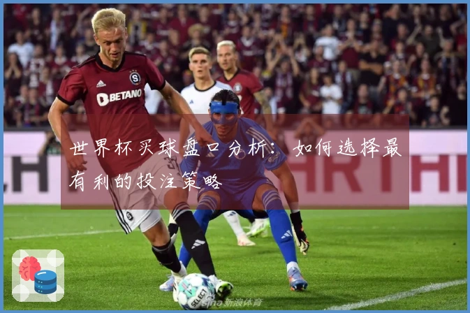 世界杯买球盘口分析：如何选择最有利的投注策略