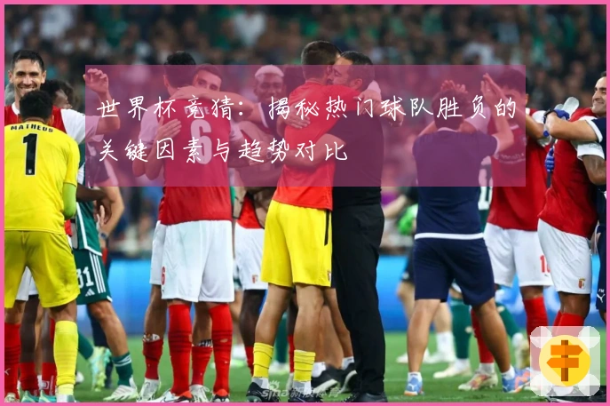 世界杯竞猜：揭秘热门球队胜负的关键因素与趋势对比