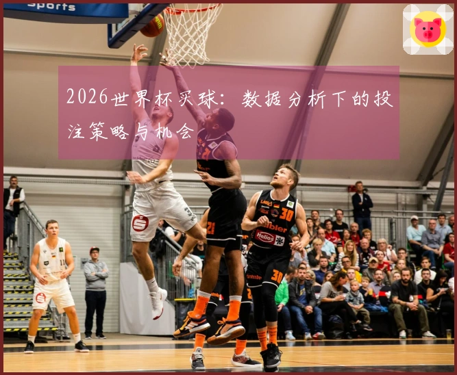 2026世界杯买球：数据分析下的投注策略与机会